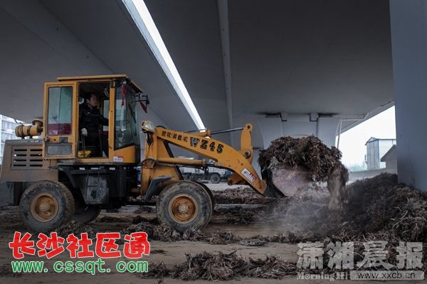 xxcb20150113_019.jpg